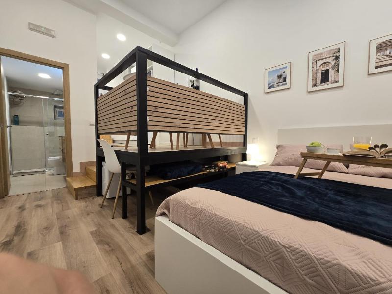 Loft Centrico Tantín RH 17 - image 9
