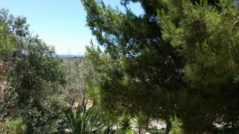 Two-Bedroom House image 2