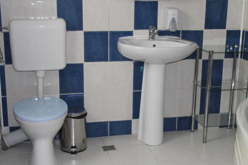 One-Bedroom Apartment image 4
