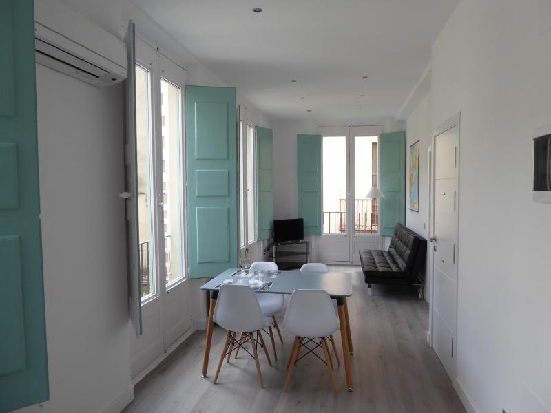 One-Bedroom Apartment image 2