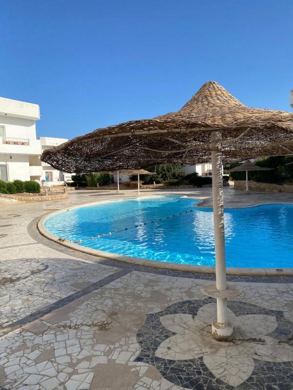 Spacious 2BR Pool-View Apartment in Hadaba - image 2