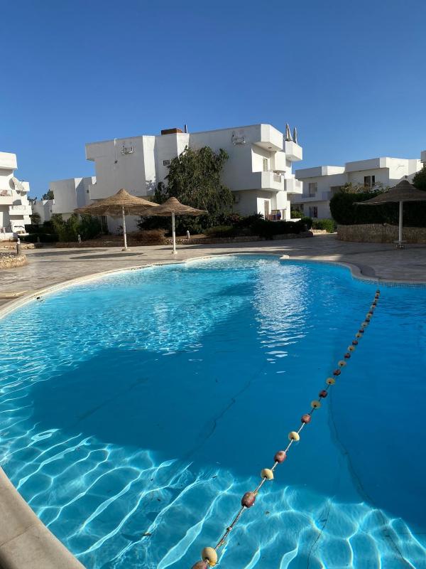 Spacious 2BR Pool-View Apartment in Hadaba - image 6