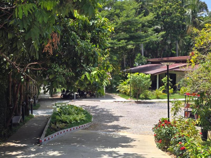 The Last Paradise - image 9