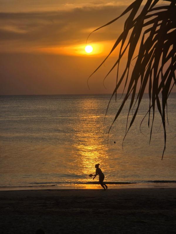 The Last Paradise - image 7