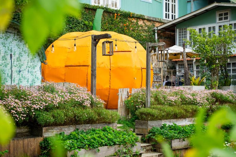 Homestay Tổ Chim-Đà Lạt - image 22