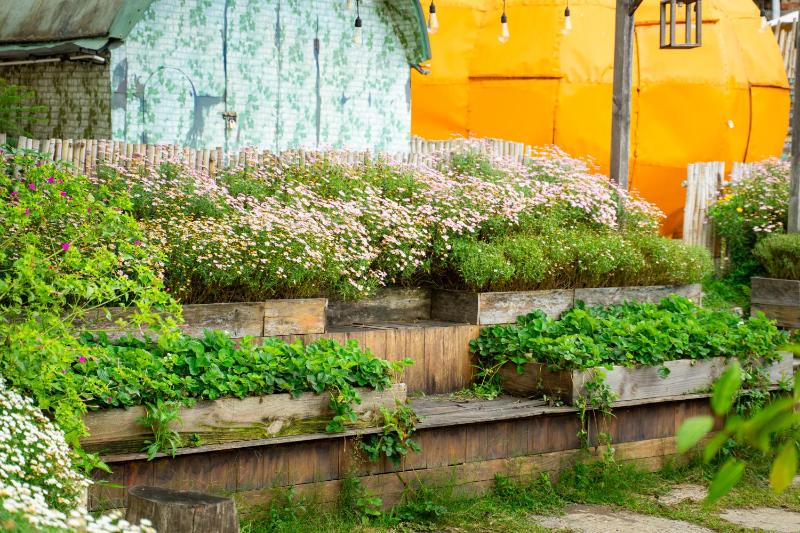 Homestay Tổ Chim-Đà Lạt - image 28