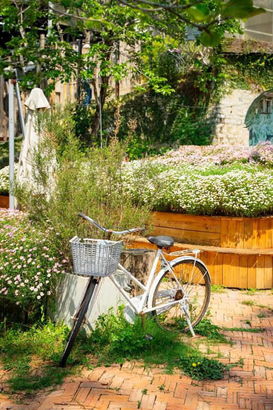 Homestay Tổ Chim-Đà Lạt - image 16
