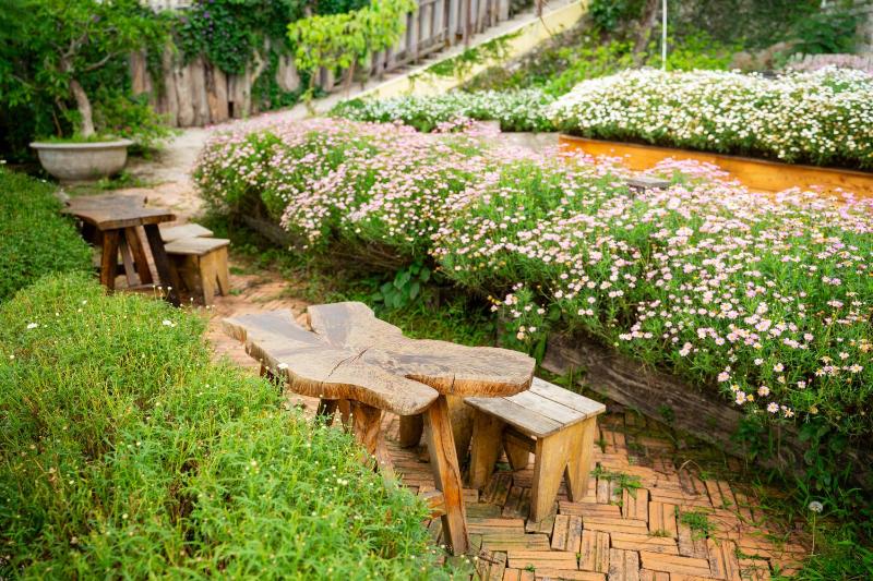 Homestay Tổ Chim-Đà Lạt - image 20