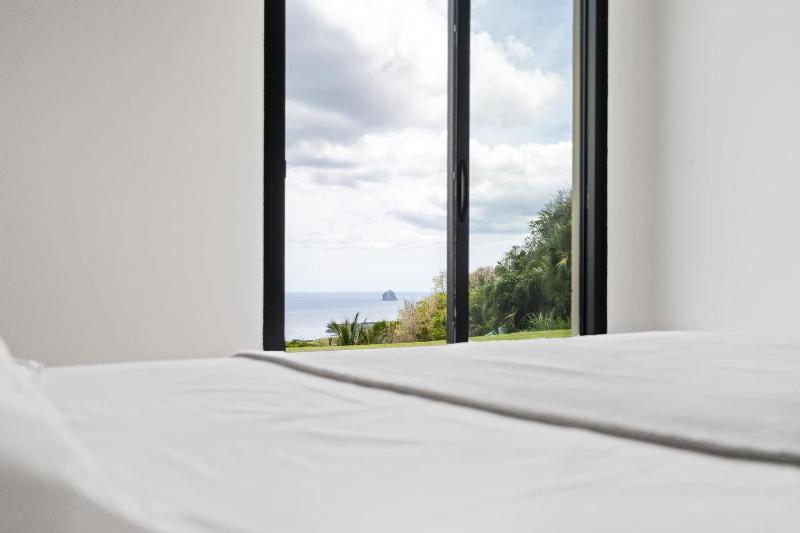 White Dream - image 4