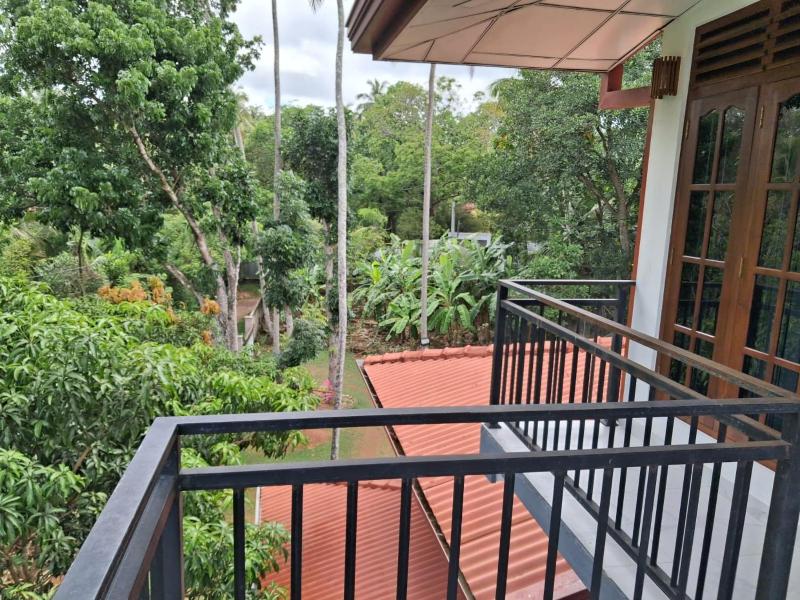 Green Village Guest - image 12