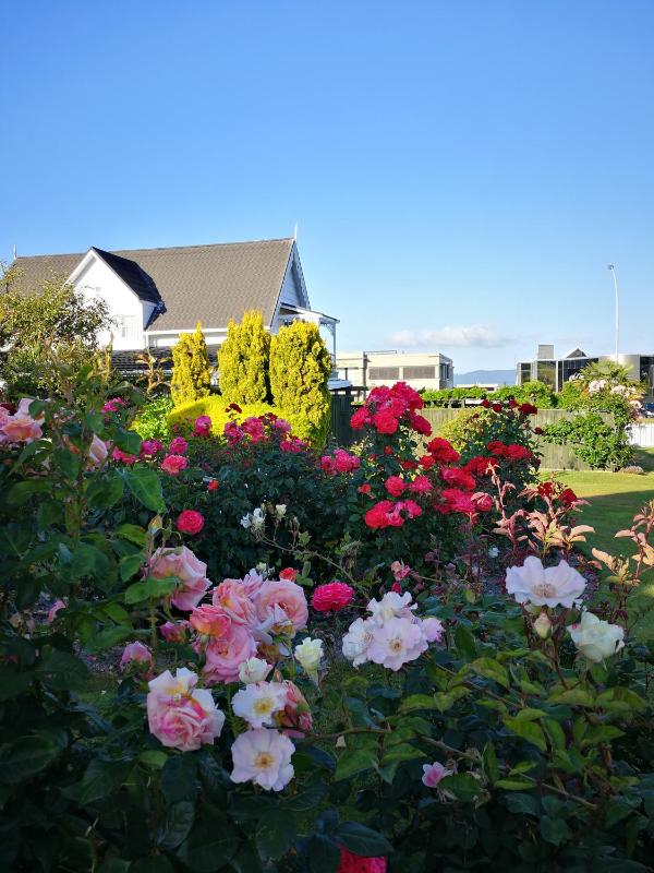 Phoenix Thermal Resort - Taupo - image 29