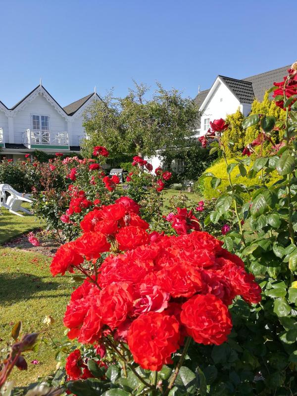 Phoenix Thermal Resort - Taupo - image 19