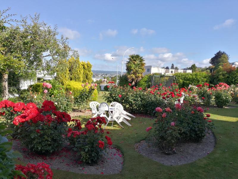 Phoenix Thermal Resort - Taupo - image 4