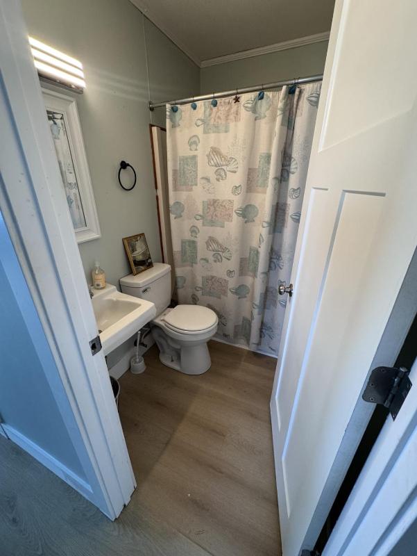 Pearls Point Oceafront Cottage S Nags Head Dog Friendly - image 2
