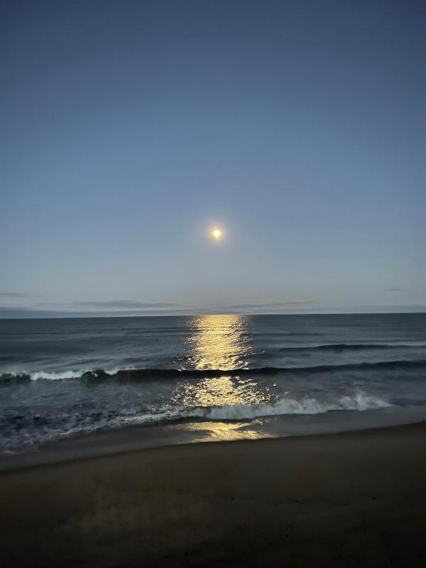 Pearls Point Oceafront Cottage S Nags Head Dog Friendly - image 11