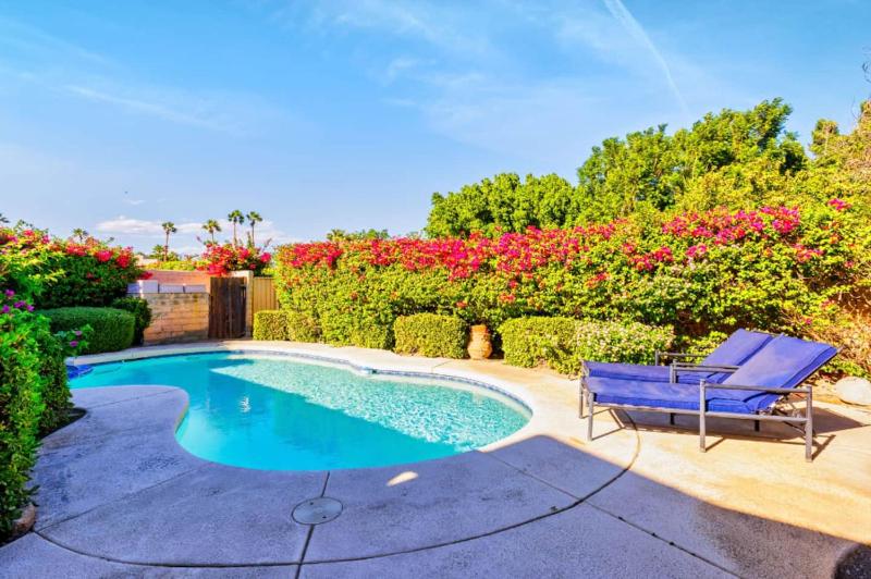 20% Off Memorial Wkend Great For Families PoolSpa - image 13