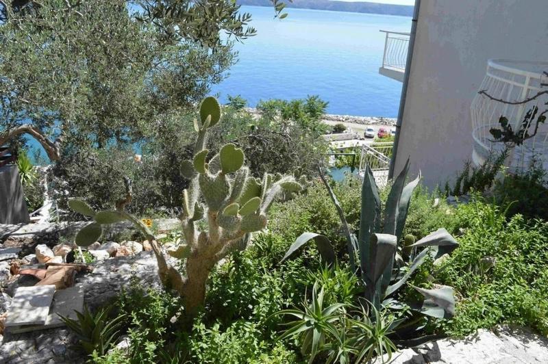 Apartments by the sea Zivogosce - Porat Makarska - 25453 - image 10