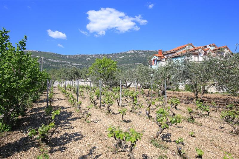 Apartments with parking space Kastel Stari Kastela - 25141 - image 19