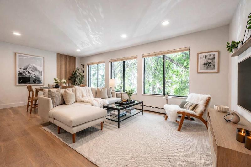 Modern 2BR 1BA with AC in the Heart of Aspen! - image 1