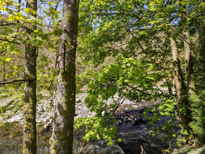 Chestnut Timber Lodge - image 49