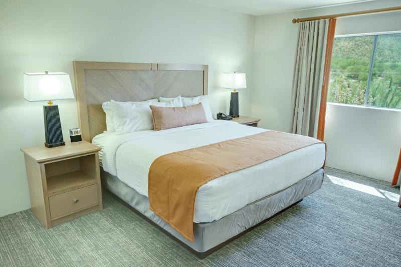 Wyndham Starr Pass Golf Suites 1BR Apartment - image 6