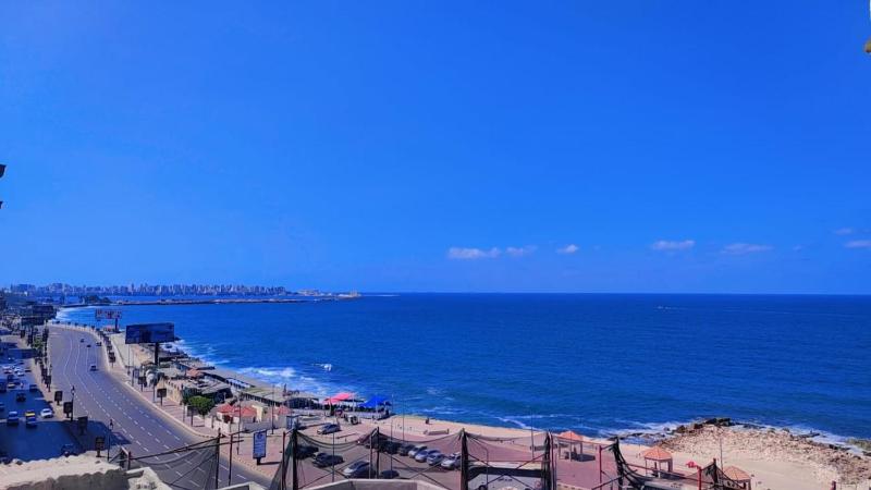 Alex Ibrahimia Apartment - image 9