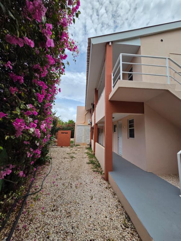 Modern Apartment Huge Pool Near Mambo Beach Free Parking - image 14