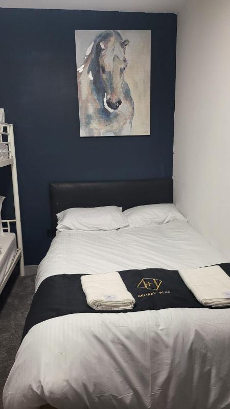 Holiday Plus - 50 Palatine Road - image 31