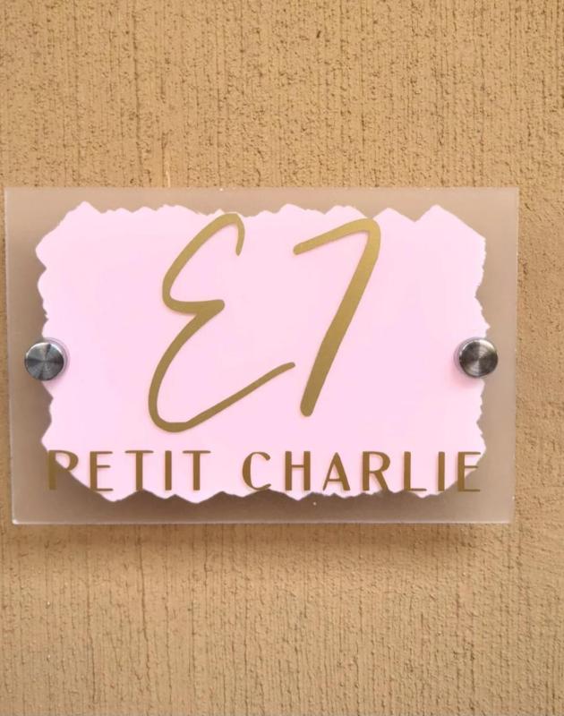 Petit Charlie @ Forest view - image 11