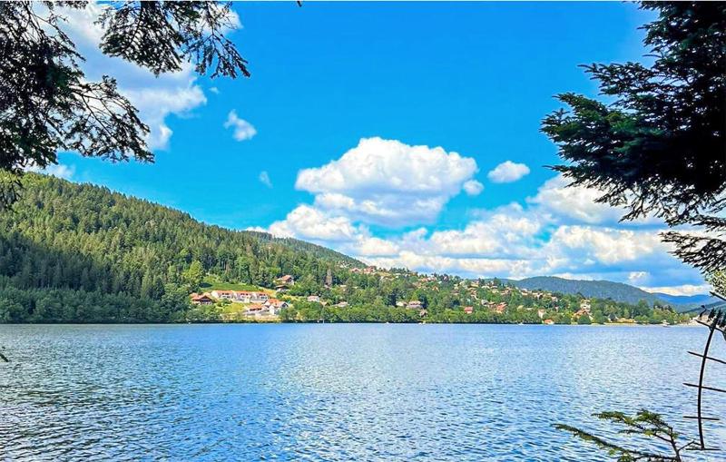 1 Bedroom Gorgeous Apartment In Gerardmer - image 14