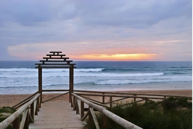 Natural casita Palmar - image 20