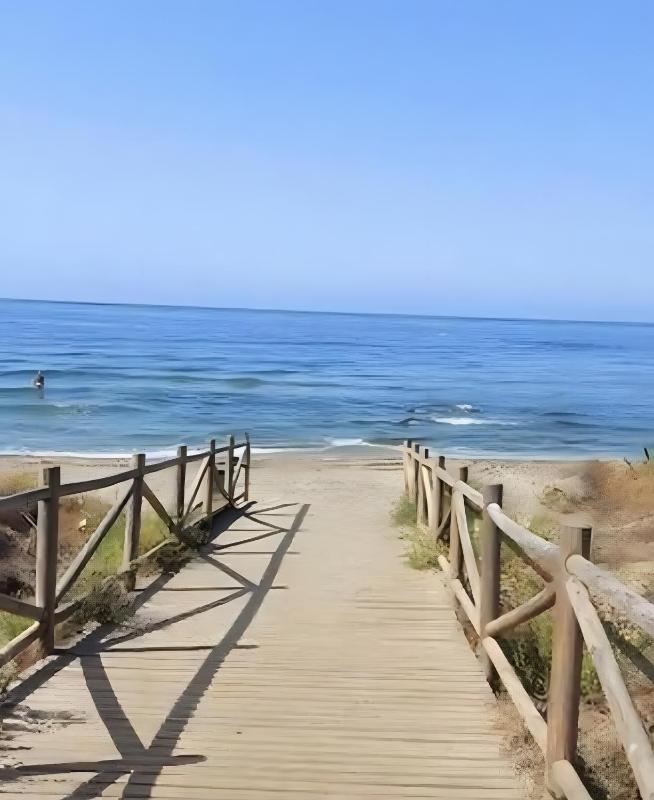 Natural casita Palmar - image 26