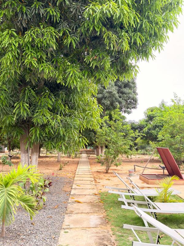 Viana Nature Resort Pool and Garden - image 7