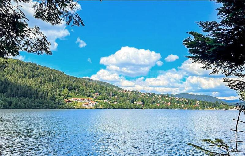 Amazing Apartment In Gerardmer With Lake View - image 16
