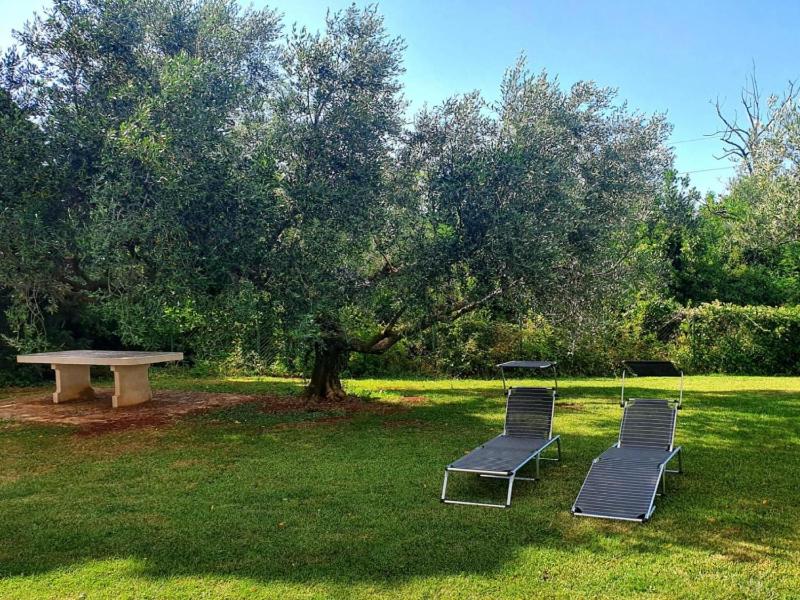 Bright accommodation near the sea in Zambratija - image 17