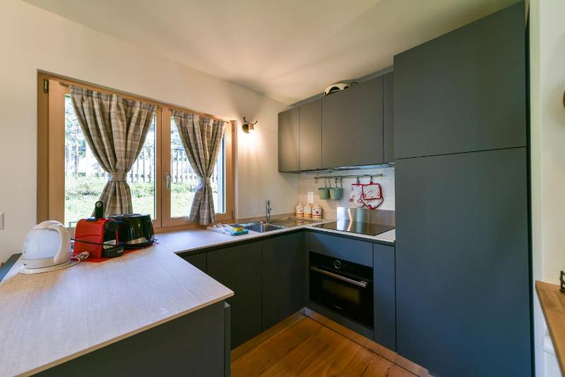 Chesa Al Munt two bedrooms - Celerina - image 17