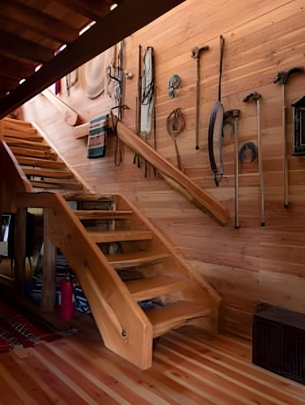 Dream Home Amid Native Trees - image 21