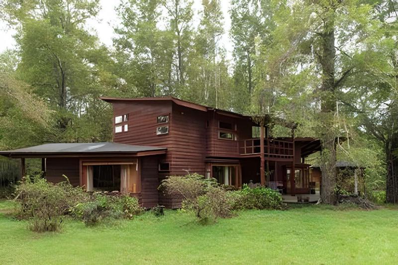 Dream Home Amid Native Trees - image 6