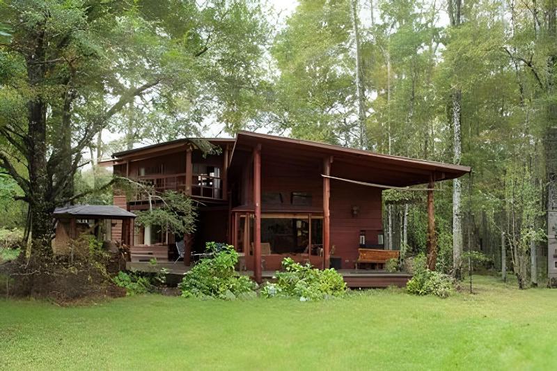 Dream Home Amid Native Trees - image 24