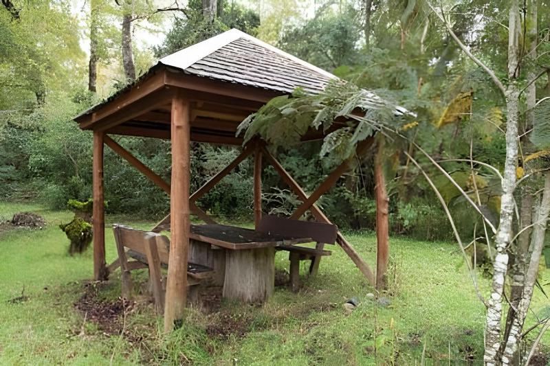 Dream Home Amid Native Trees - image 34