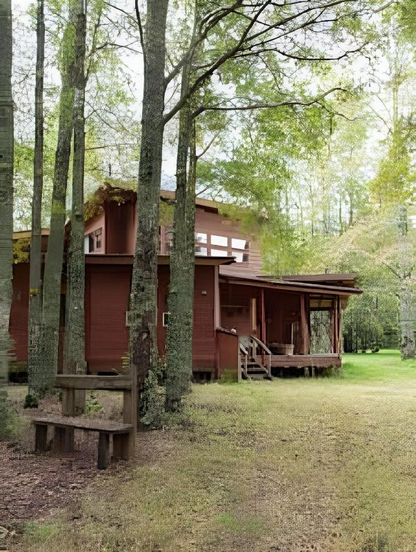 Dream Home Amid Native Trees - image 18