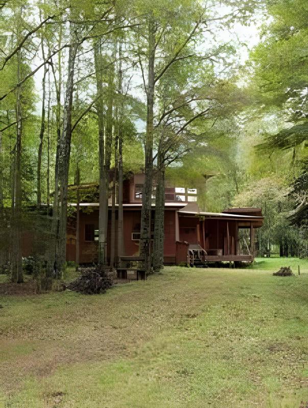 Dream Home Amid Native Trees - image 13