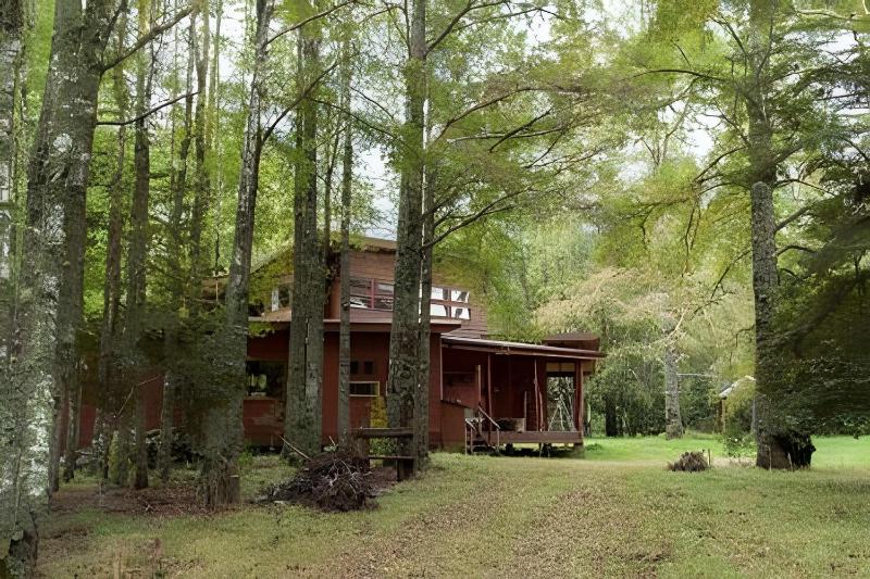 Dream Home Amid Native Trees - image 40