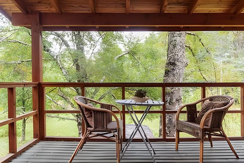 Dream Home Amid Native Trees - image 5