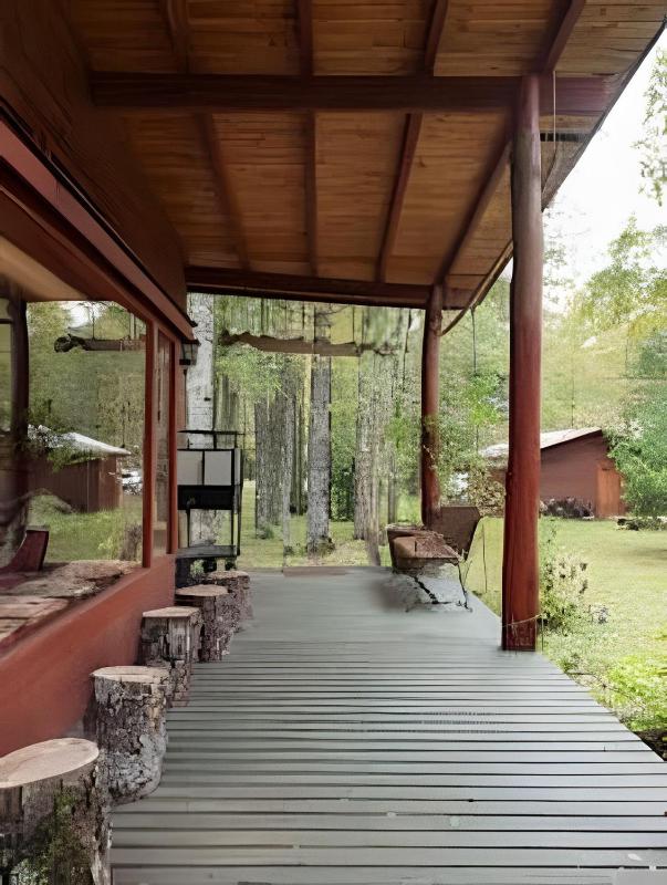 Dream Home Amid Native Trees - image 12