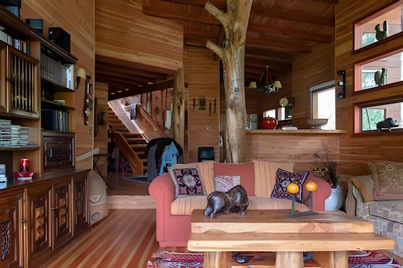 Dream Home Amid Native Trees - image 26
