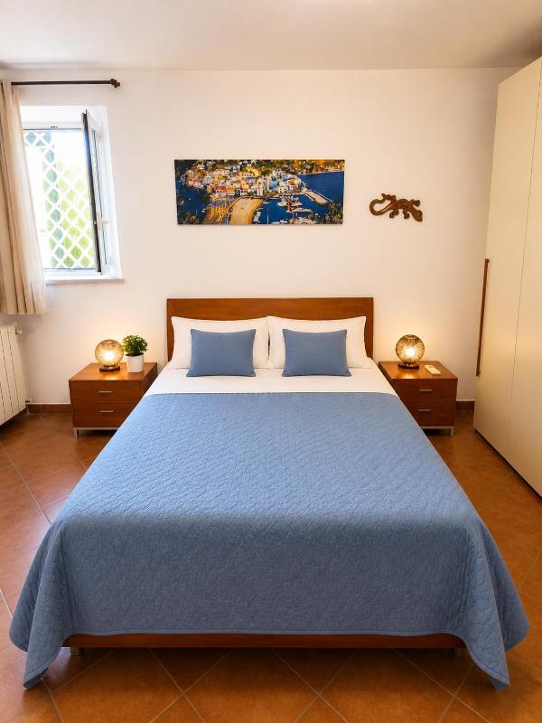 Domus Pannella - Endless Summer - image 25