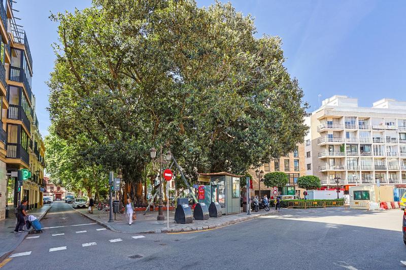 San Pedro 15 - Vacacional Sevilla - image 15