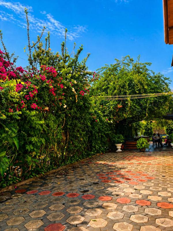 Mountain valley Resort - image 6