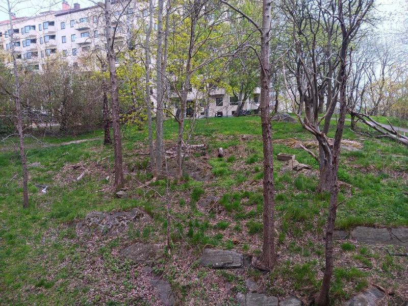 Room in apartment within walking distance to Avenyn etc - image 2